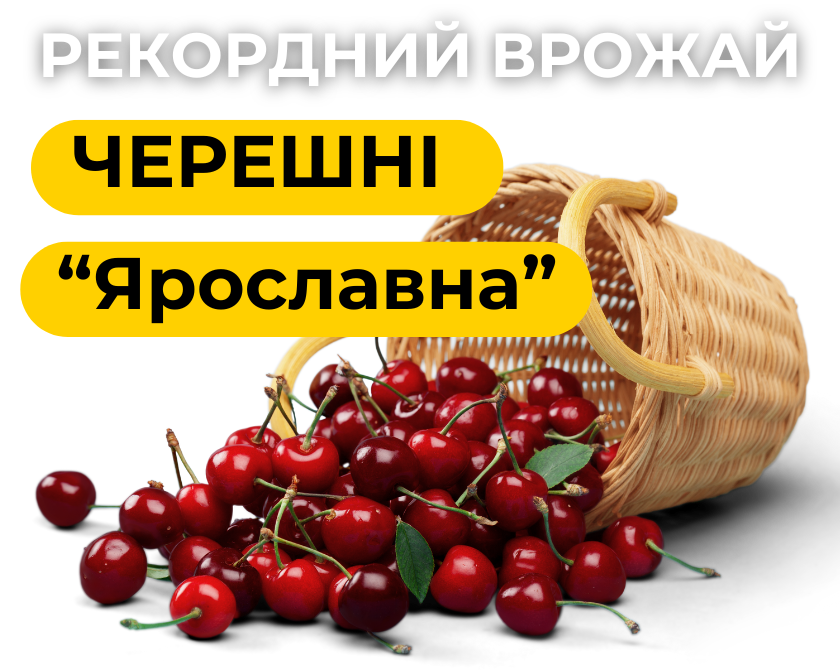 Image title