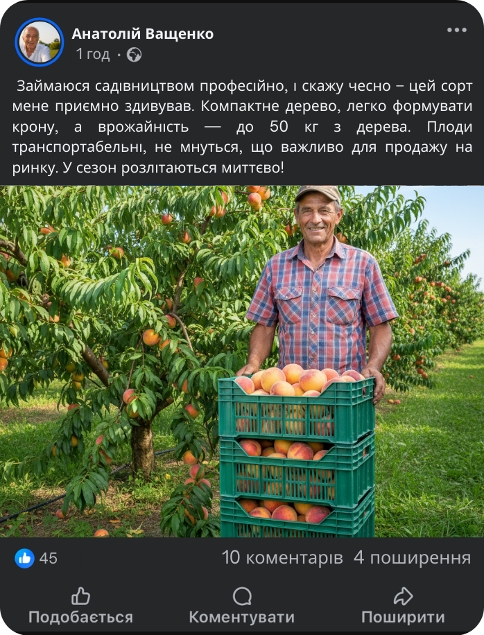 Заголовок