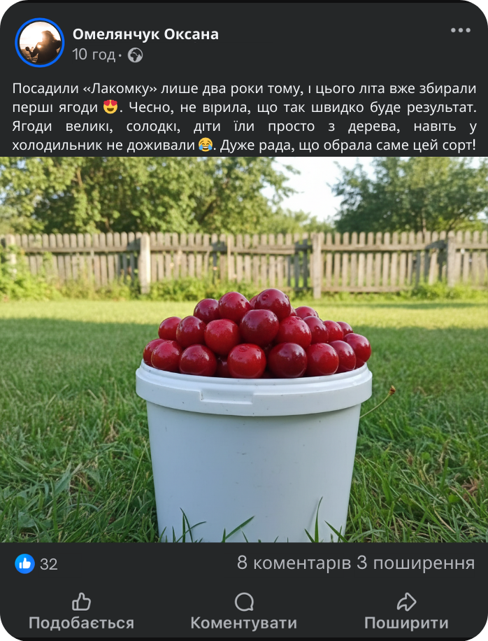 Заголовок
