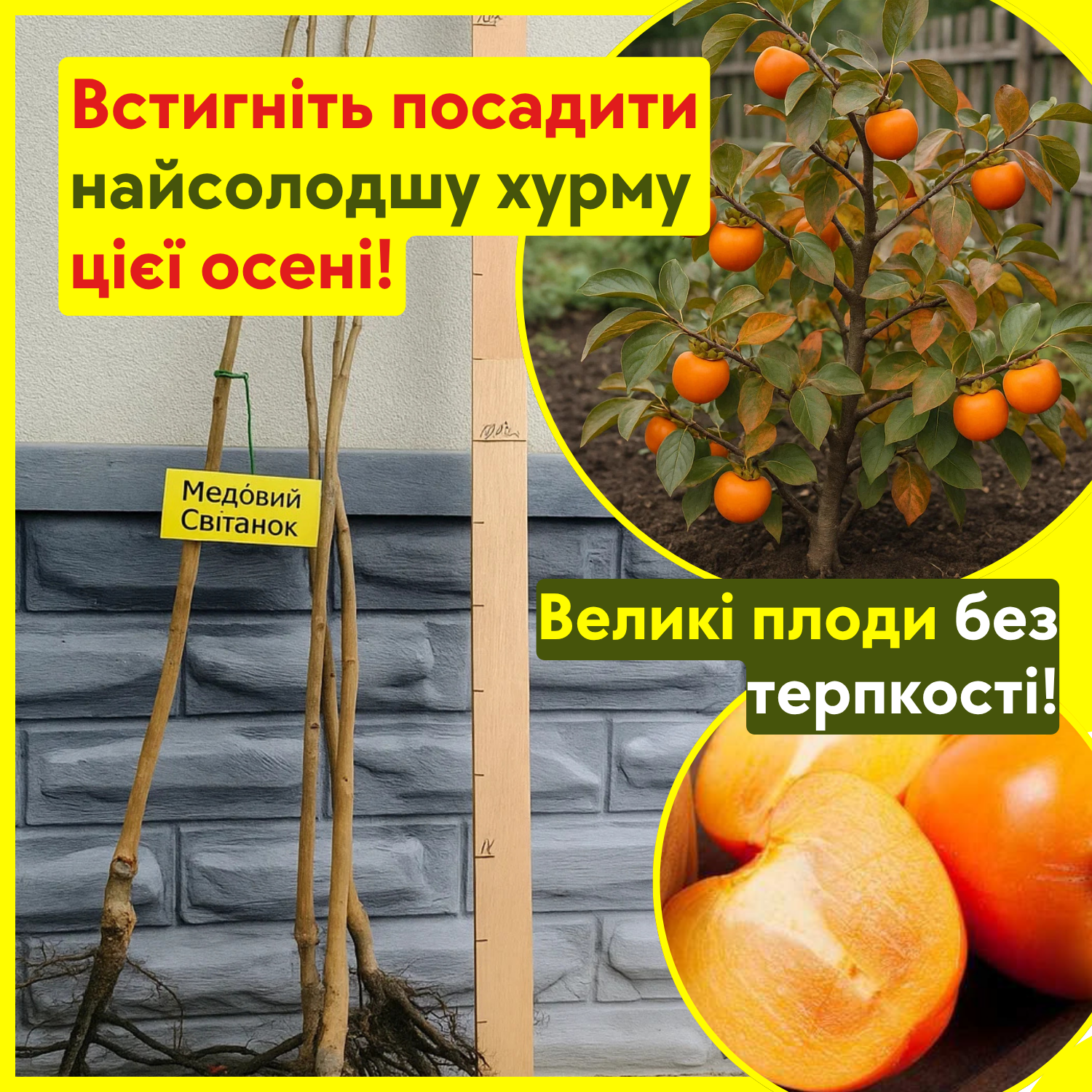 Заголовок