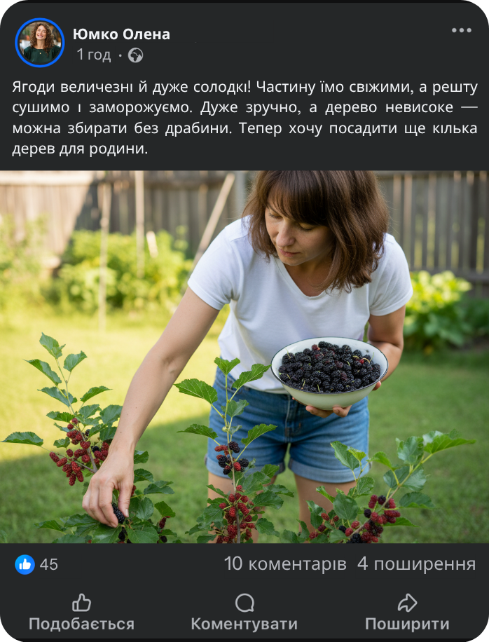 Заголовок